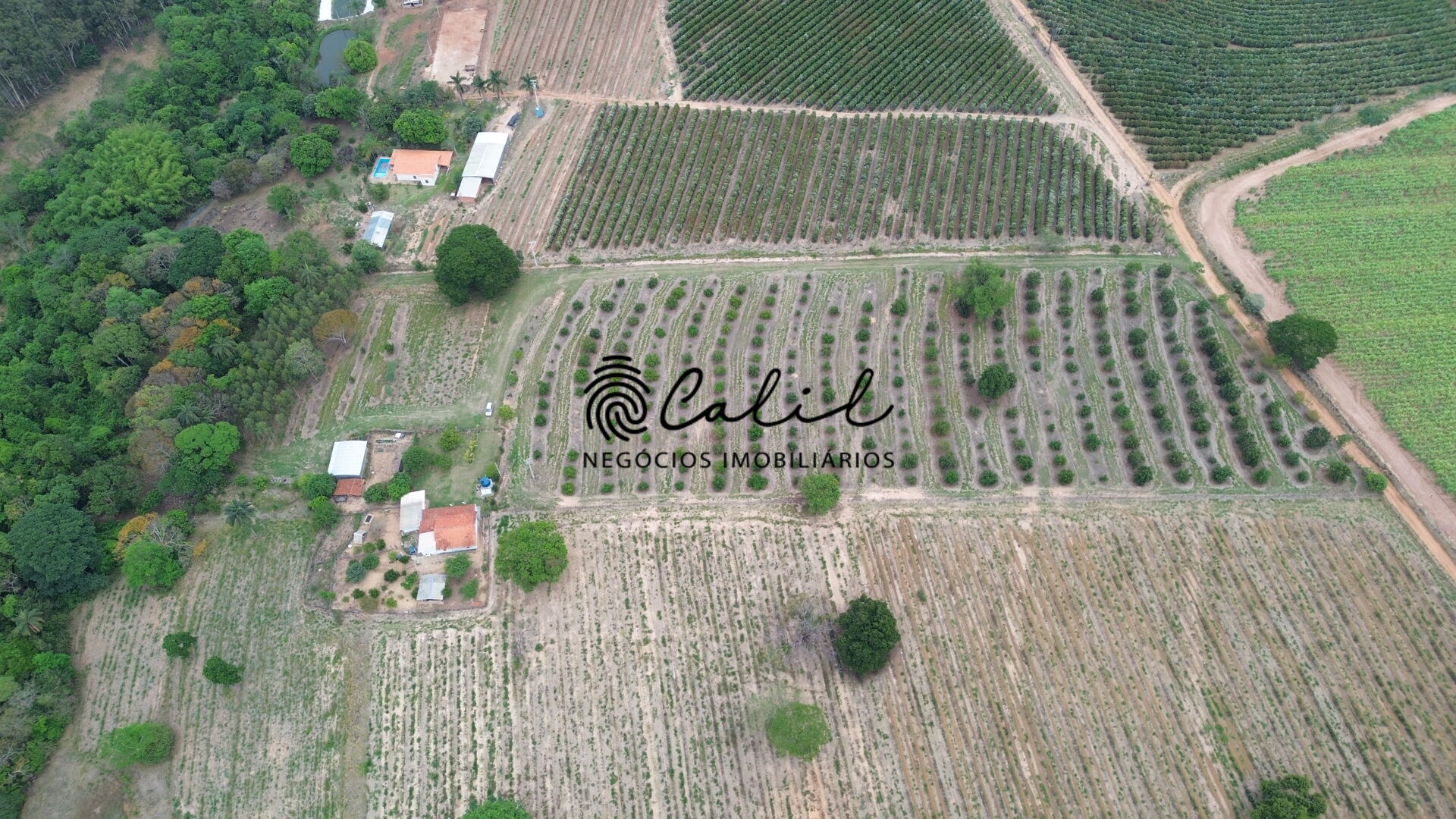 Fazenda à venda com 3 quartos, 30400m² - Foto 4