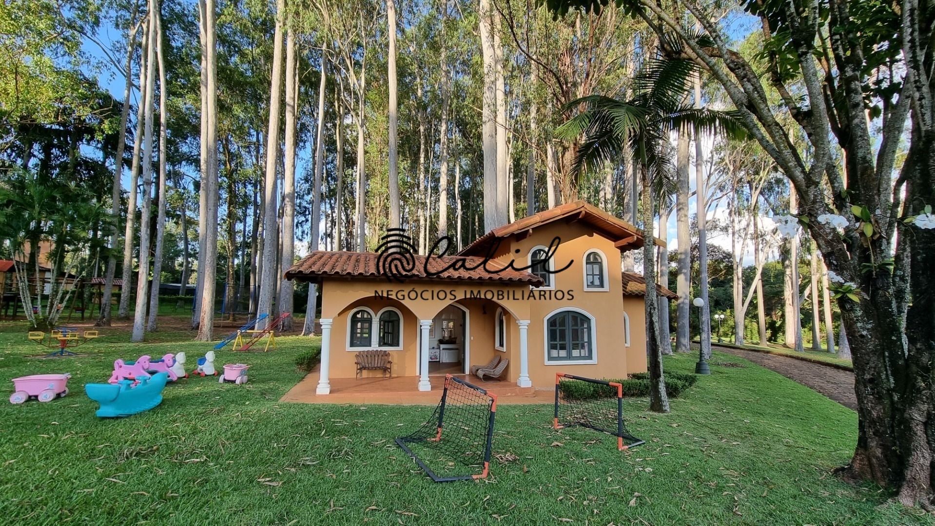 Fazenda à venda com 8 quartos, 2500m² - Foto 38