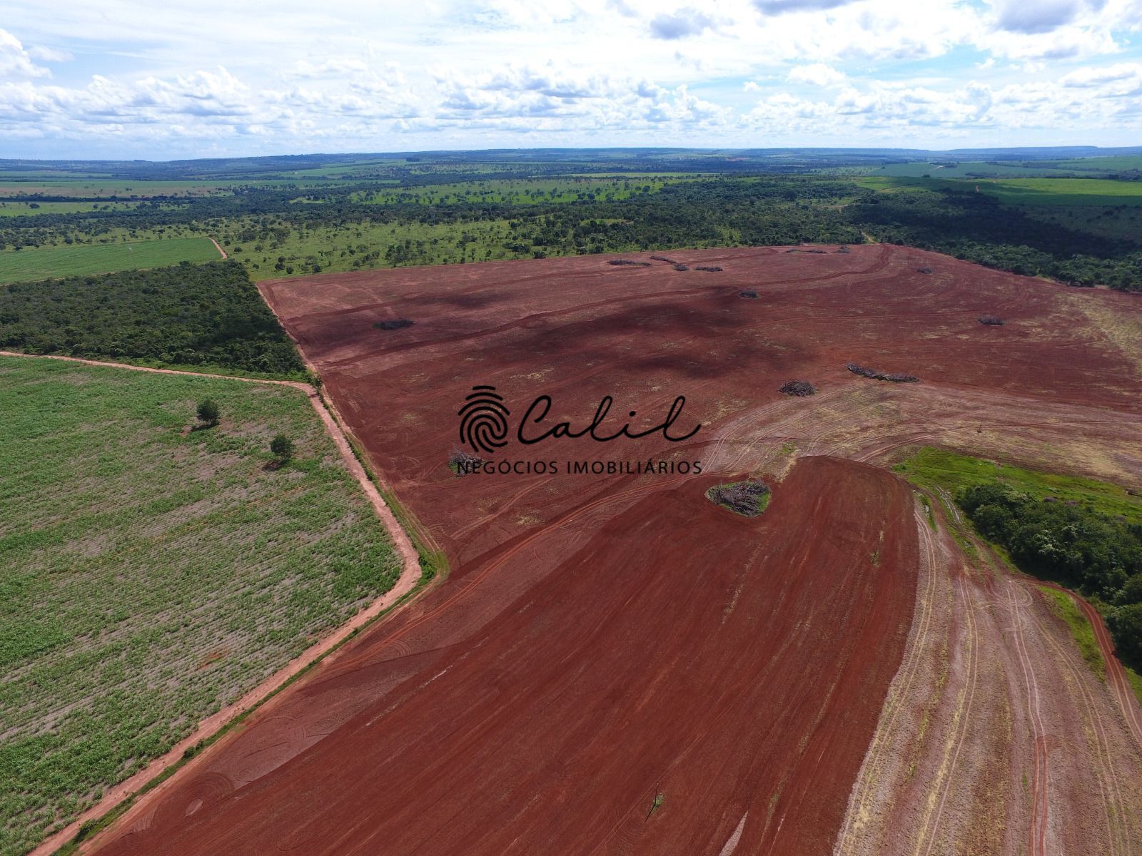 Fazenda, 271 hectares - Foto 5