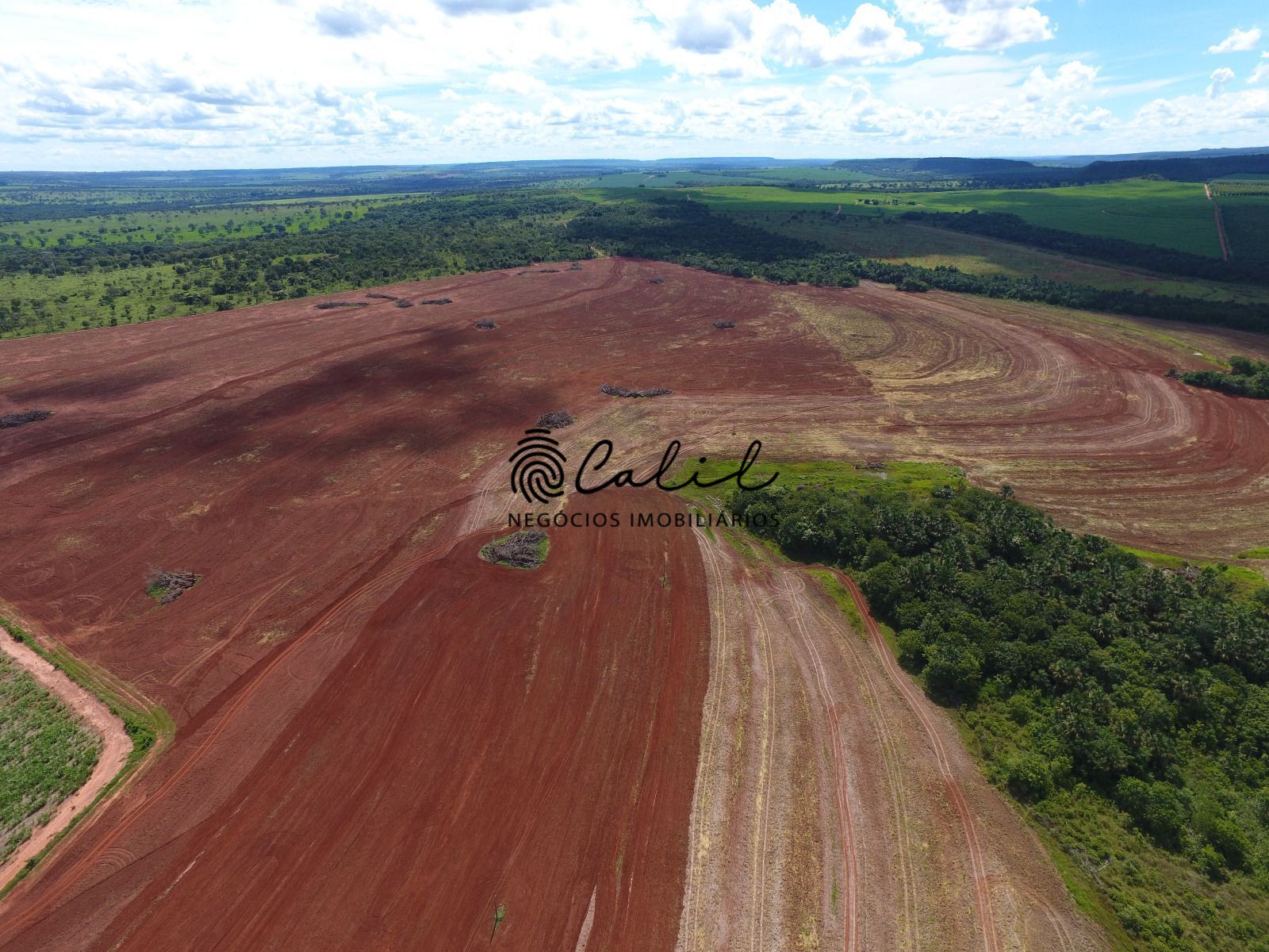 Fazenda, 271 hectares - Foto 4