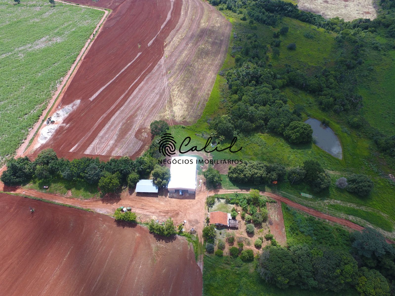 Fazenda, 271 hectares - Foto 9
