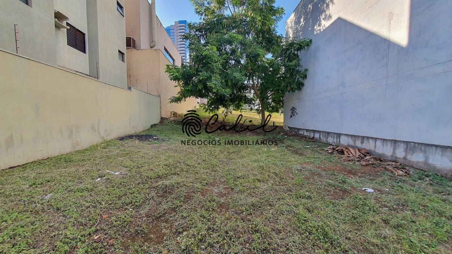 Terreno à venda, 295m² - Foto 2