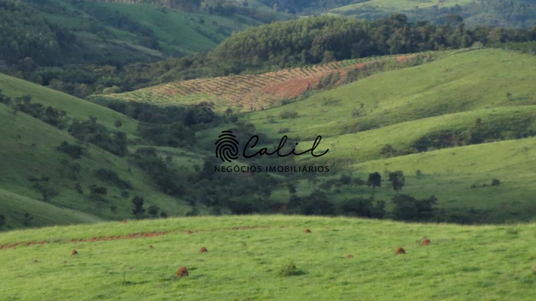 Fazenda à venda com 1 quarto, 2221800m² - Foto 15