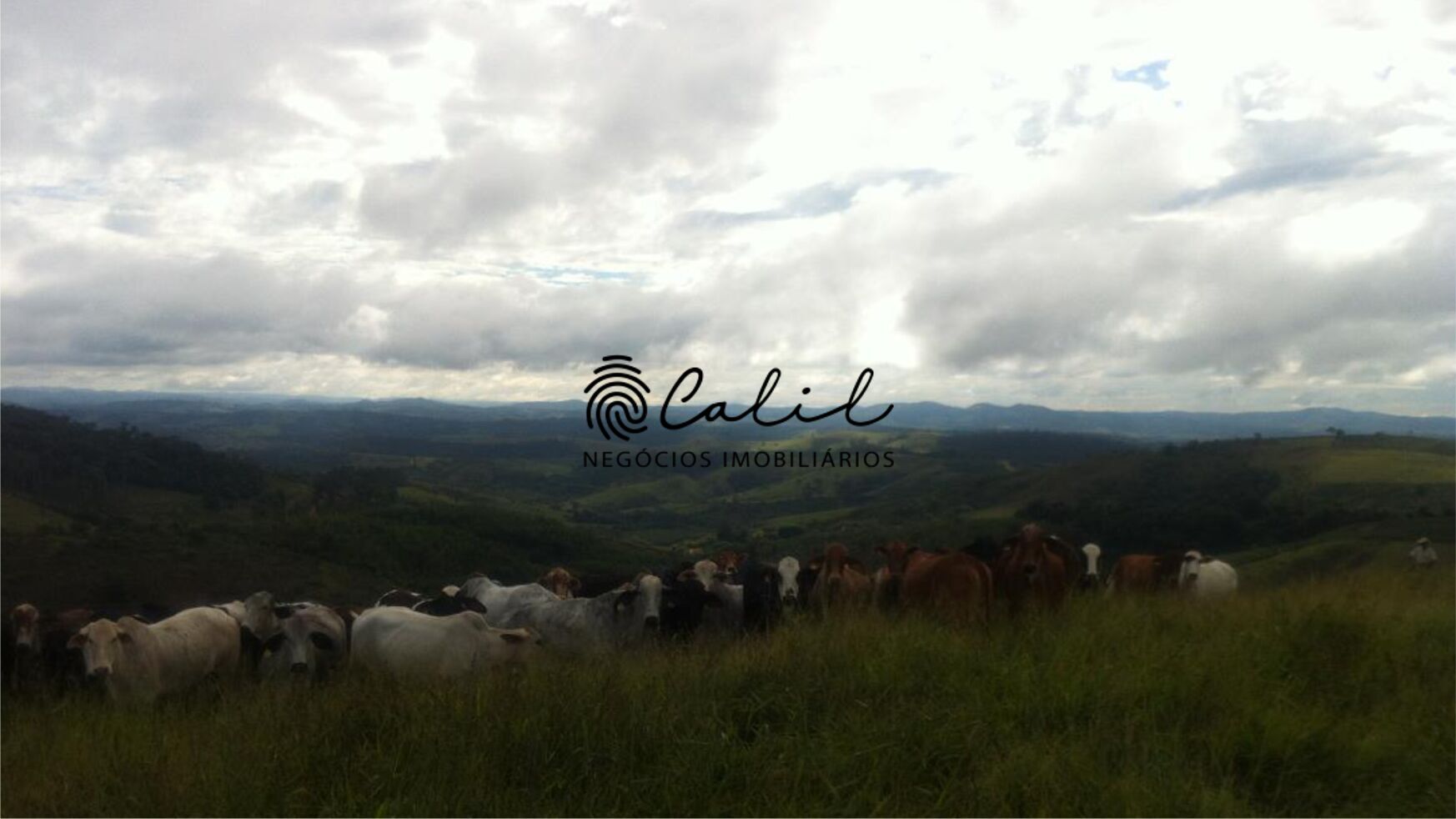 Fazenda à venda com 1 quarto, 2221800m² - Foto 17
