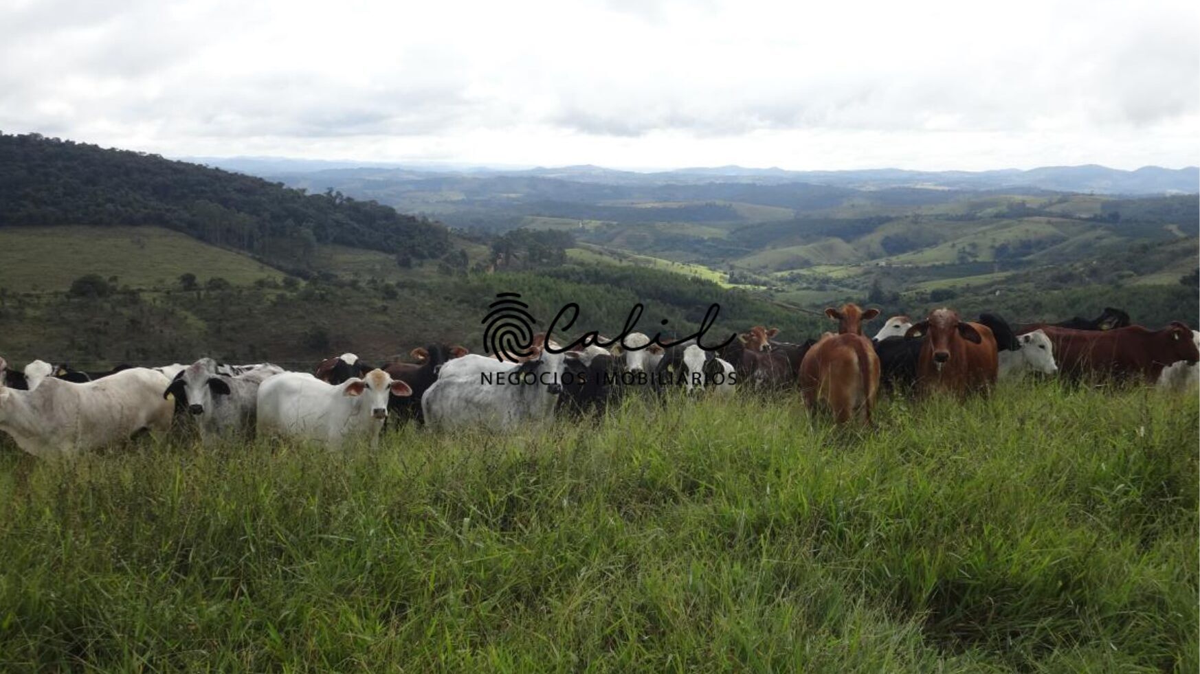 Fazenda à venda com 1 quarto, 2221800m² - Foto 27