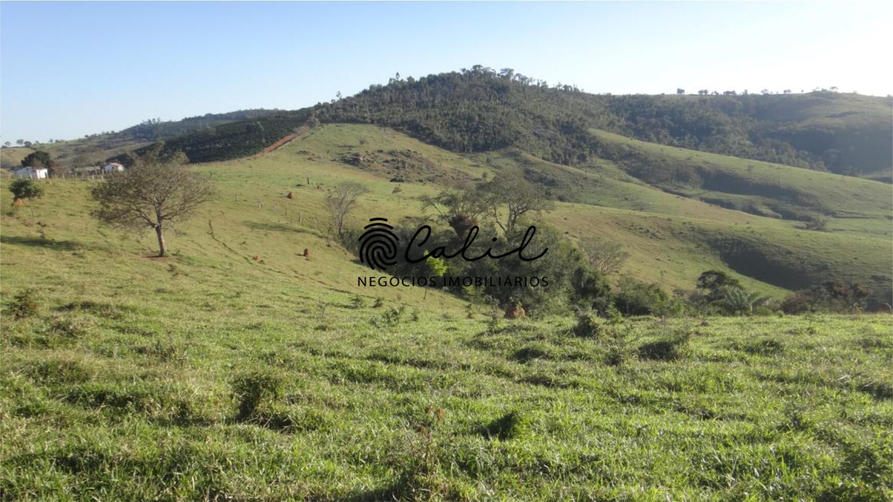 Fazenda à venda com 1 quarto, 2221800m² - Foto 29