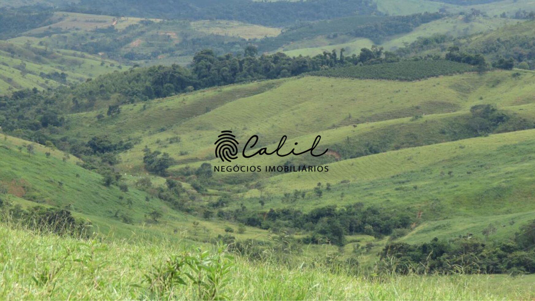 Fazenda à venda com 1 quarto, 2221800m² - Foto 10