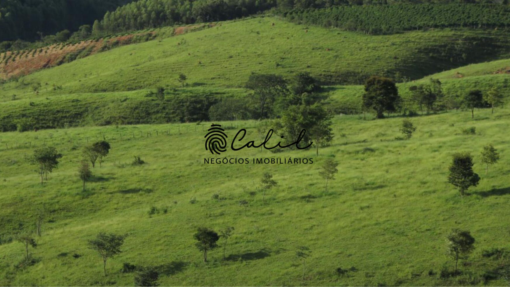 Fazenda à venda com 1 quarto, 2221800m² - Foto 9
