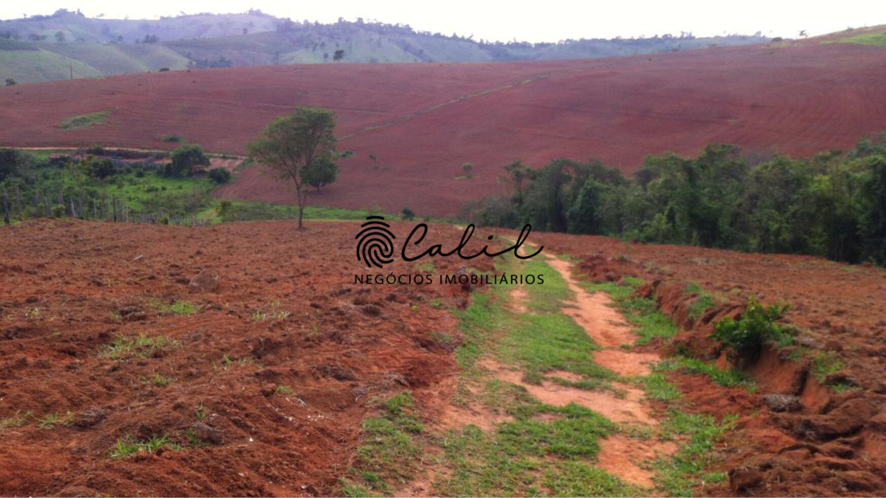 Fazenda à venda com 1 quarto, 2221800m² - Foto 18