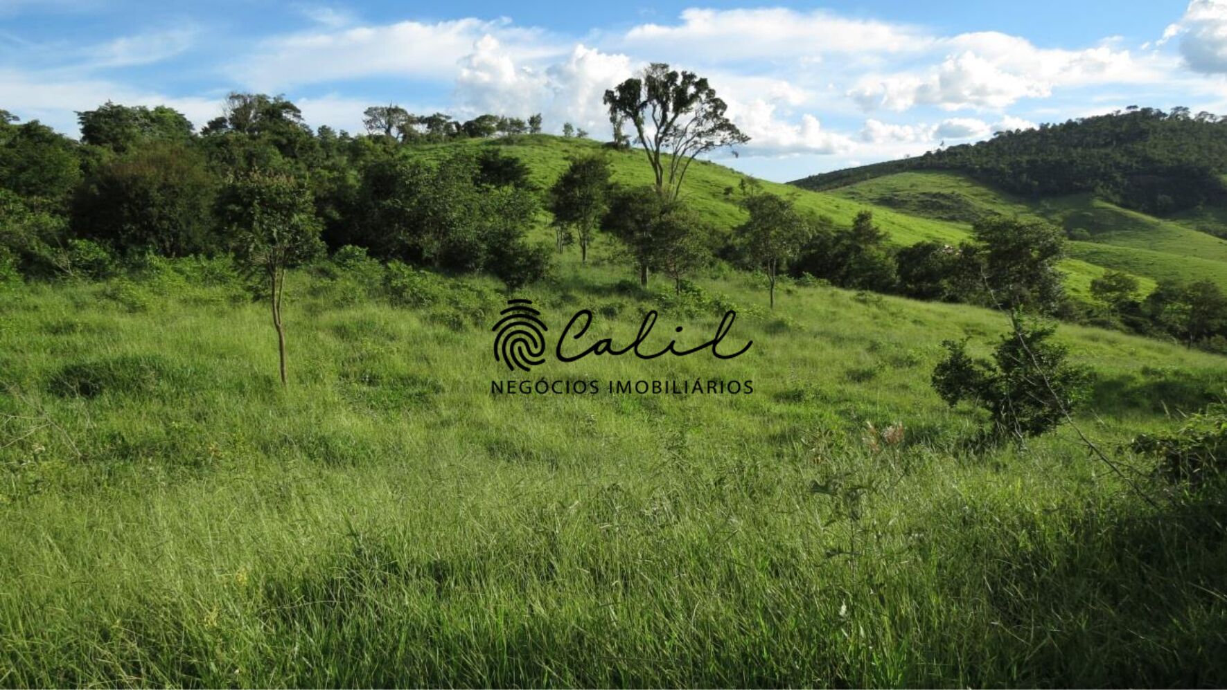 Fazenda à venda com 1 quarto, 2221800m² - Foto 6