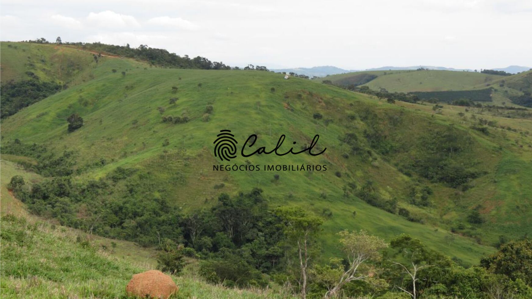 Fazenda à venda com 1 quarto, 2221800m² - Foto 11