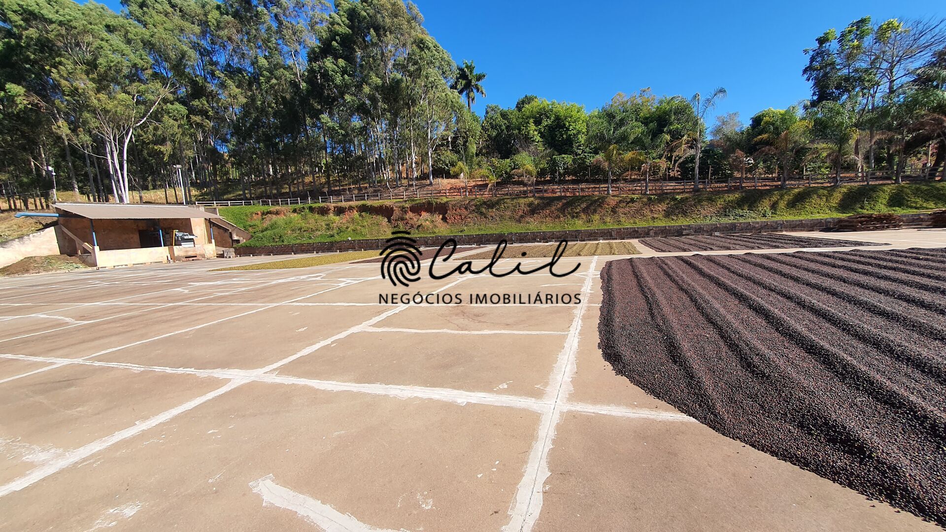 Fazenda, 188 hectares - Foto 20