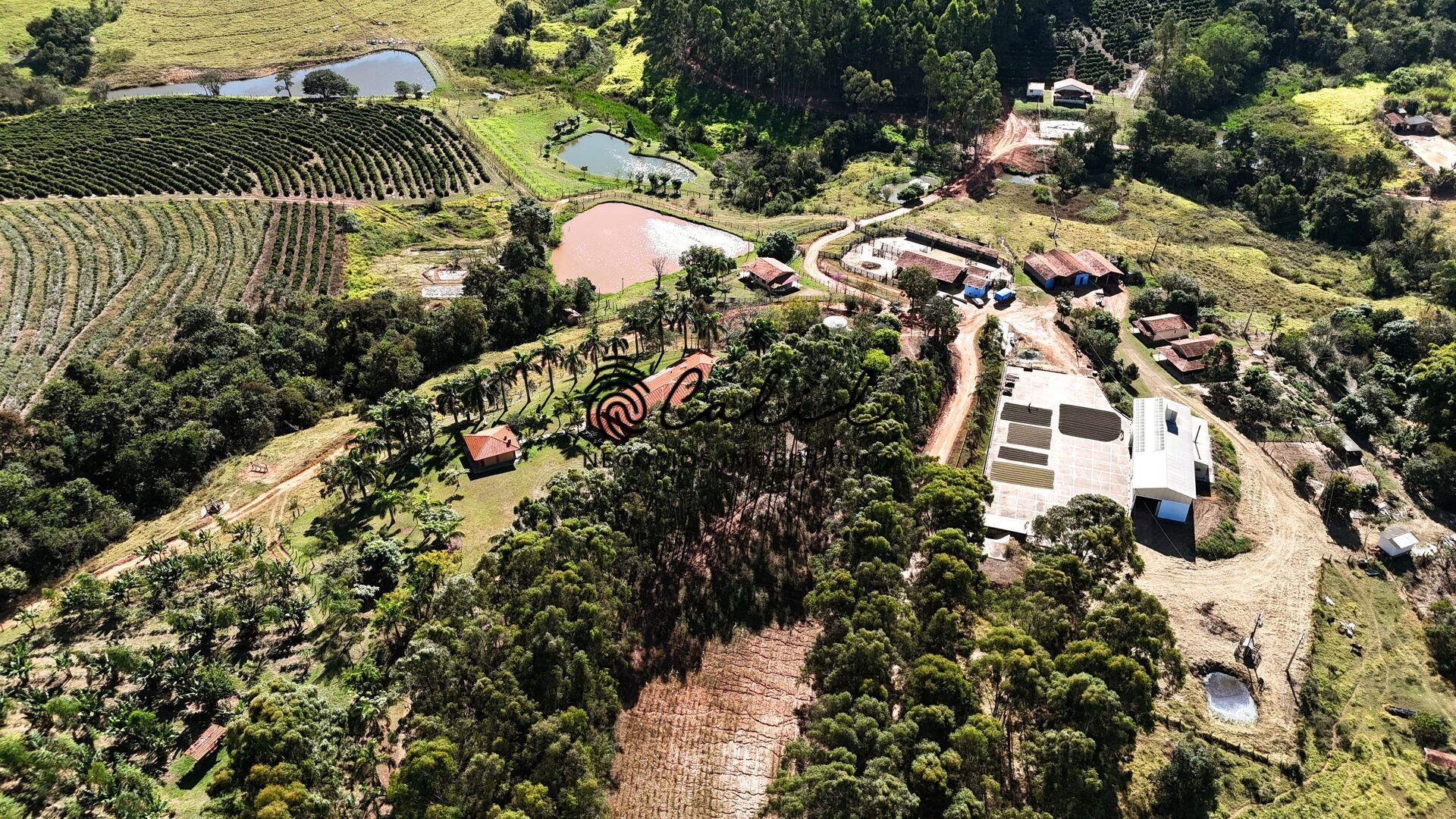 Fazenda, 188 hectares - Foto 11