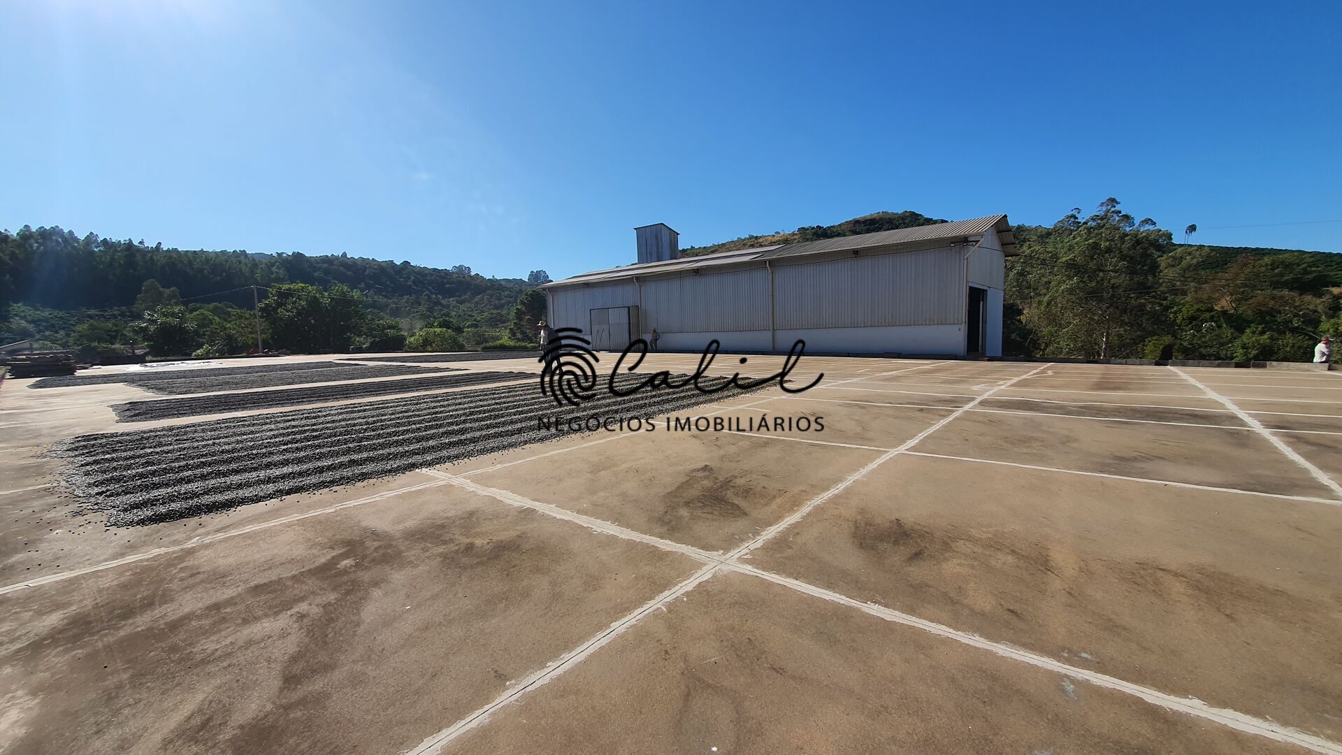 Fazenda, 188 hectares - Foto 15