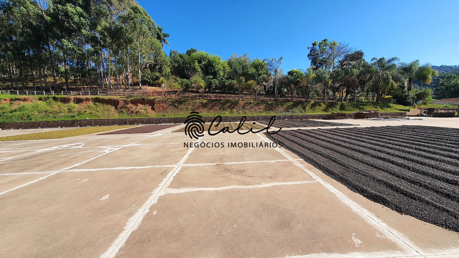 Fazenda, 188 hectares - Foto 19