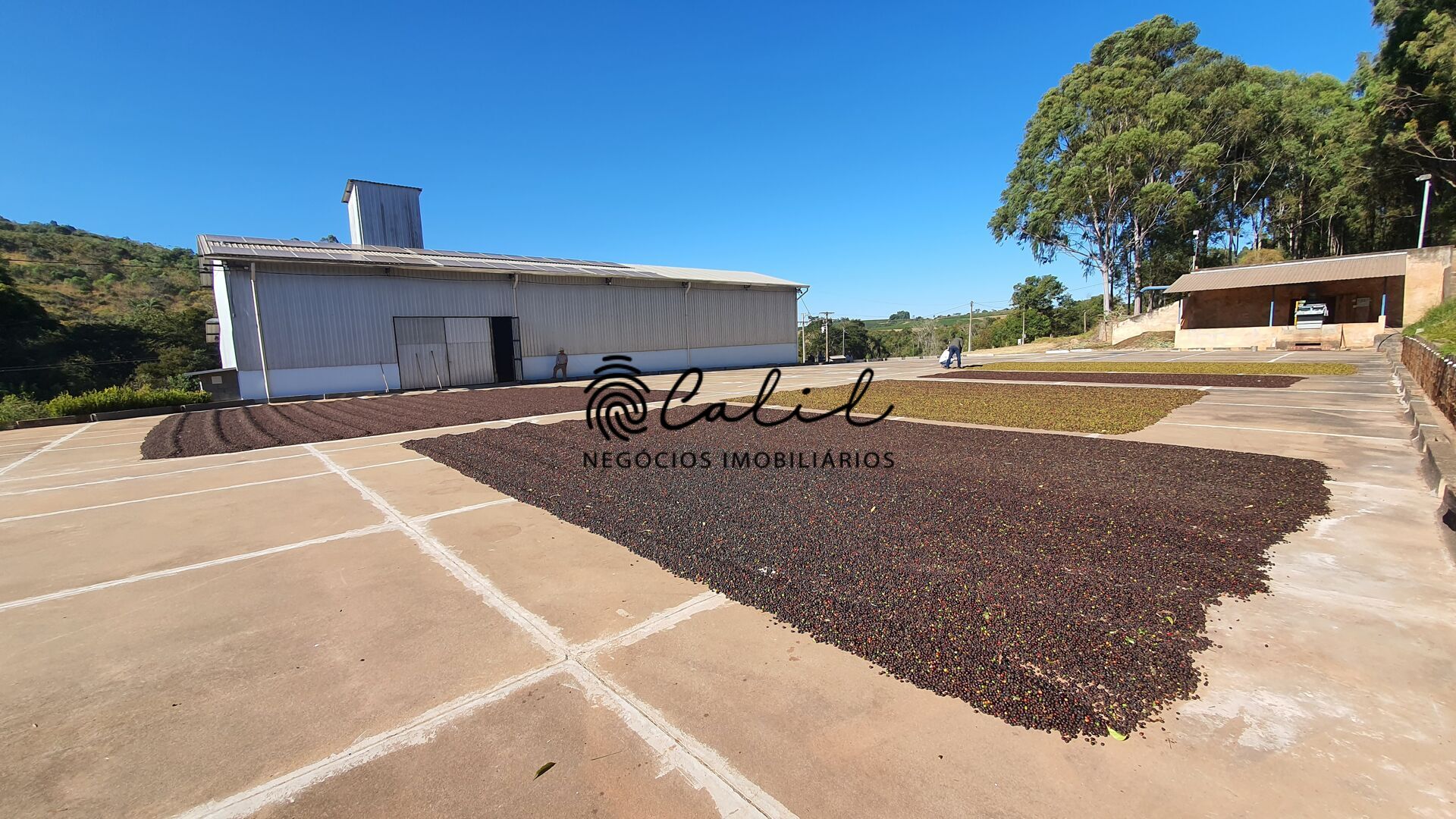 Fazenda, 188 hectares - Foto 16