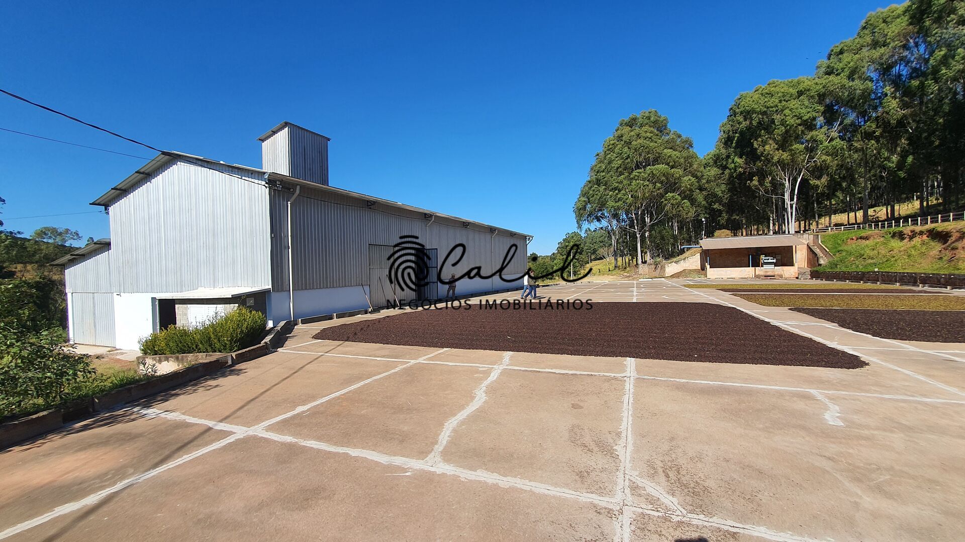 Fazenda, 188 hectares - Foto 17