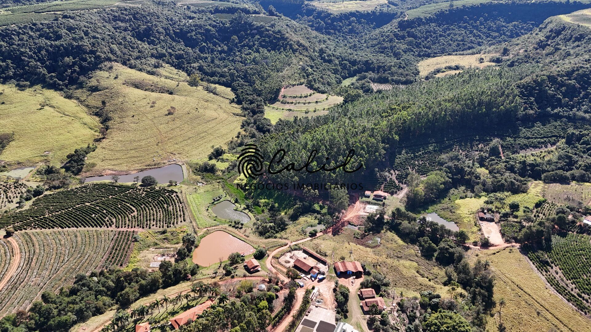 Fazenda, 188 hectares - Foto 4