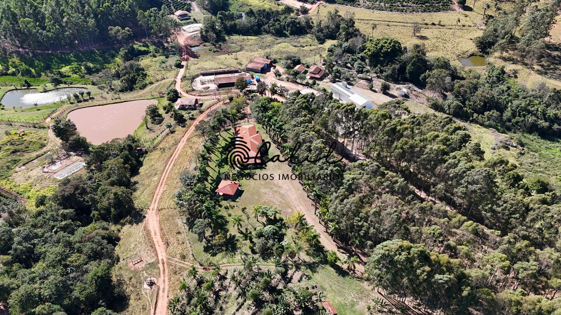 Fazenda, 188 hectares - Foto 13