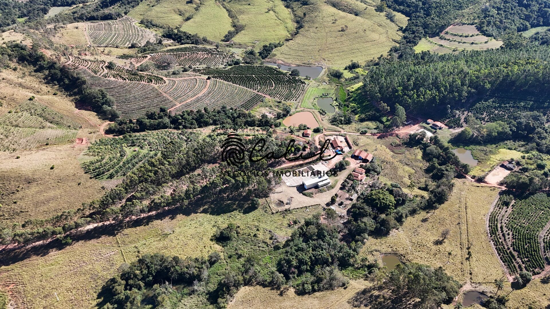 Fazenda, 188 hectares - Foto 6
