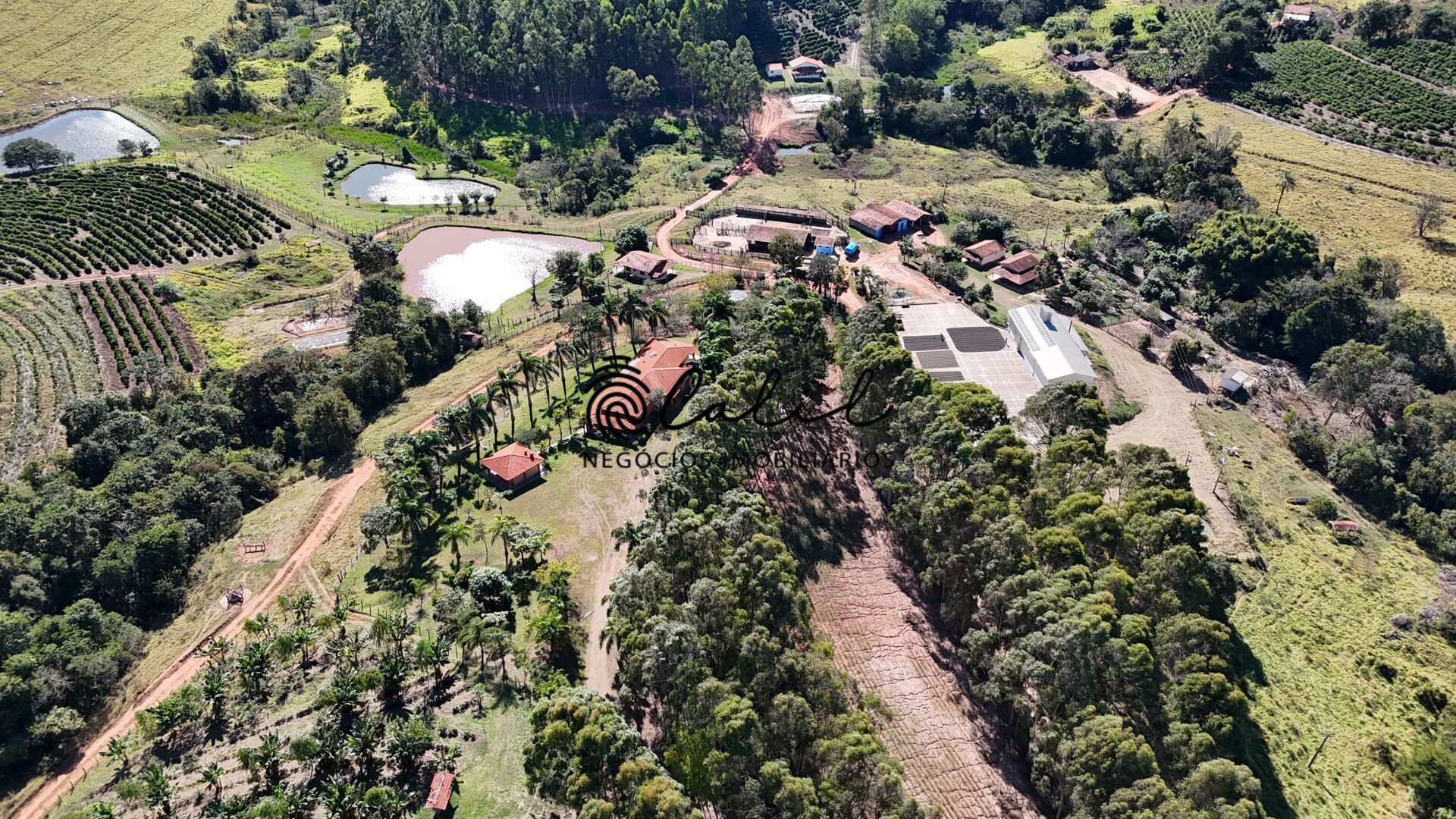 Fazenda, 188 hectares - Foto 12