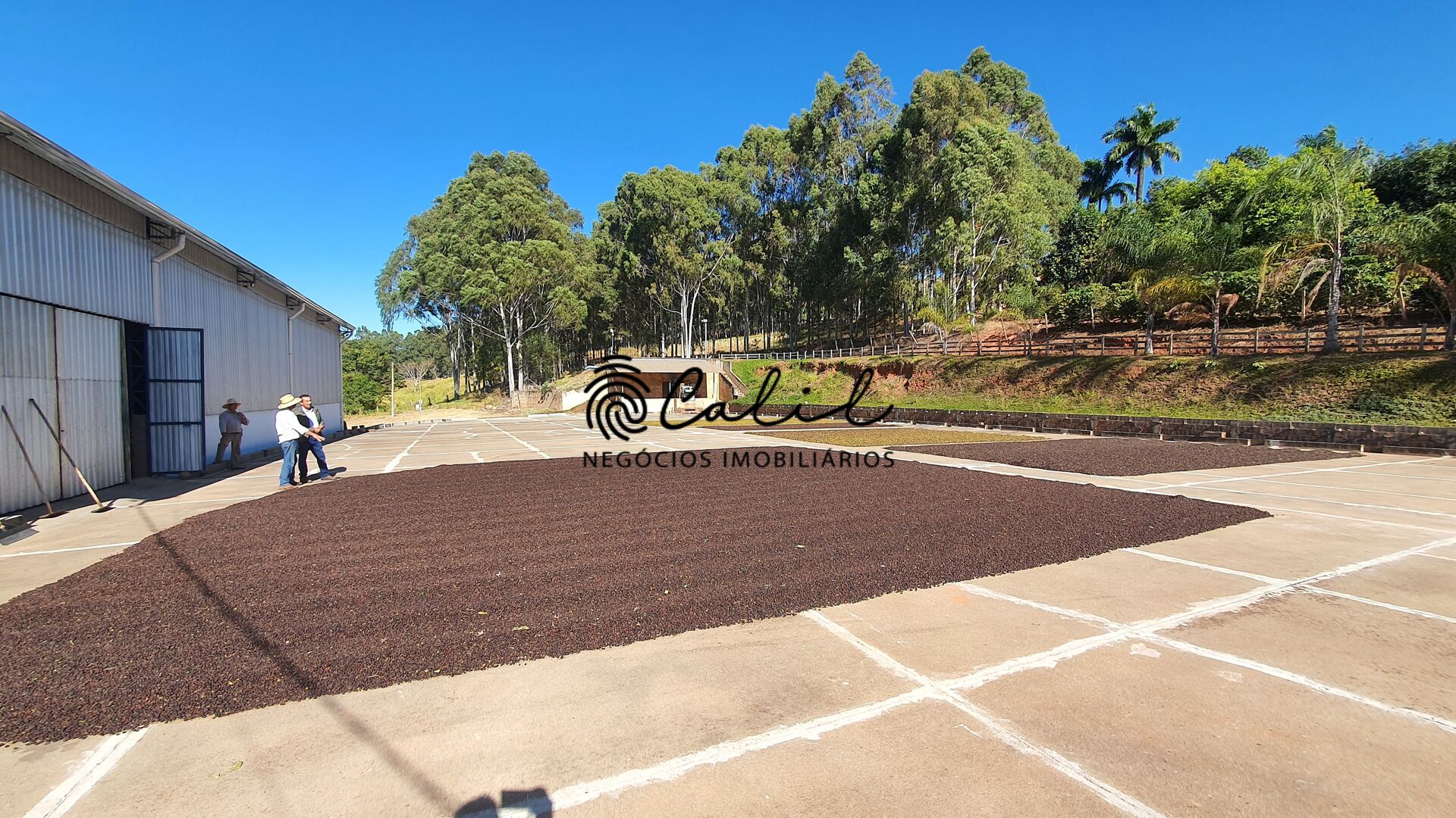 Fazenda, 188 hectares - Foto 18