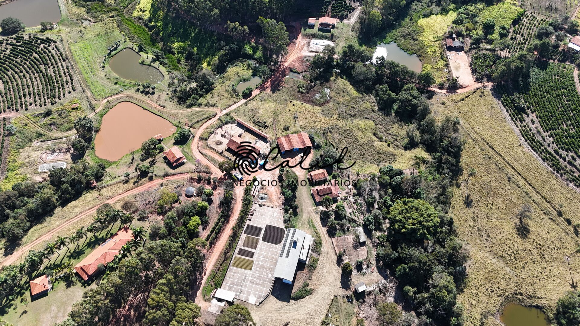 Fazenda à venda com 4 quartos, 1880000m² - Foto 5