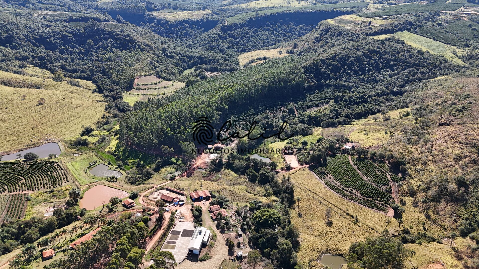 Fazenda, 188 hectares - Foto 3