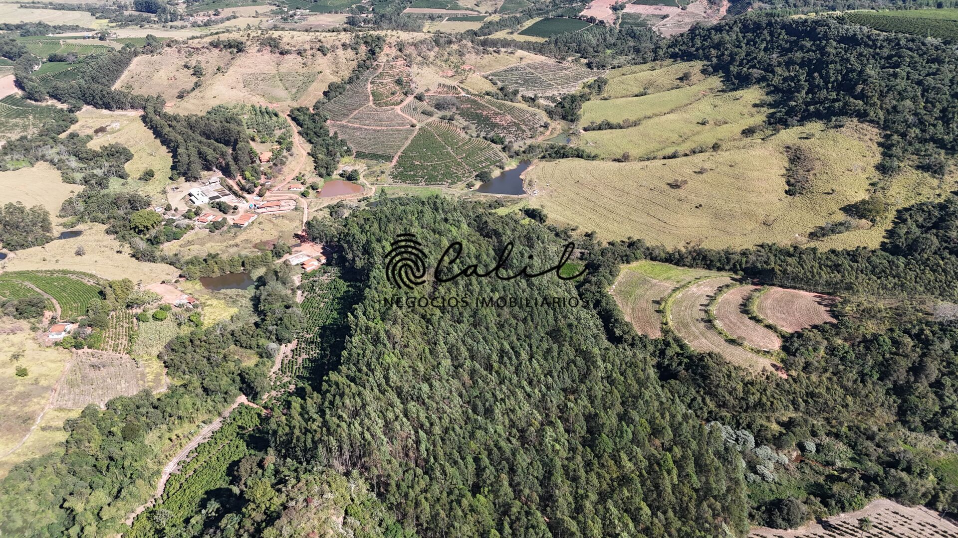 Fazenda, 188 hectares - Foto 9