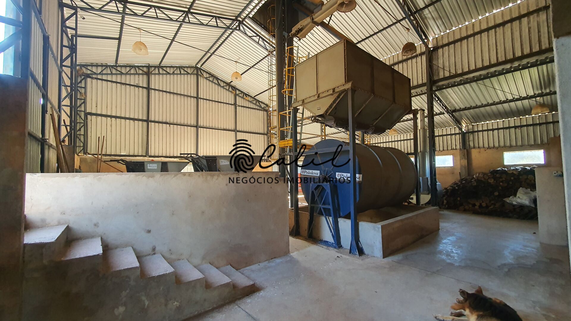Fazenda à venda com 4 quartos, 1880000m² - Foto 27