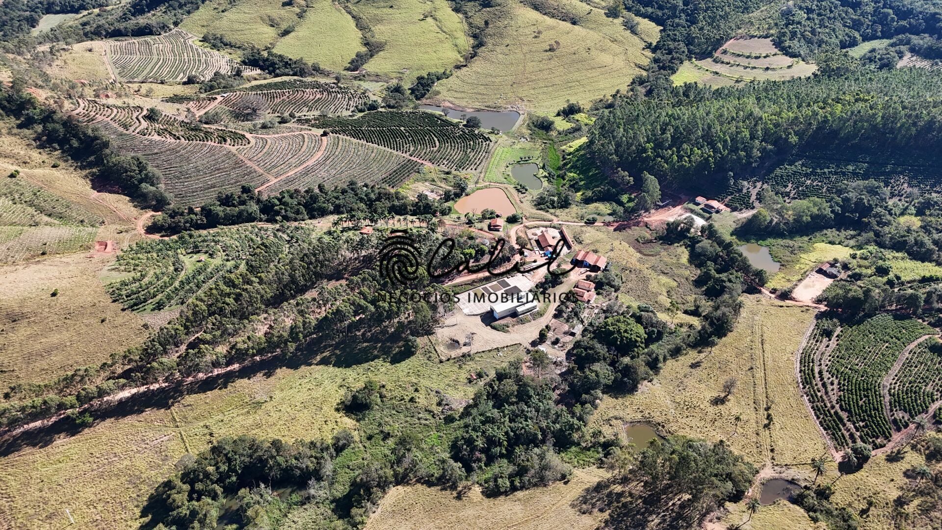 Fazenda, 188 hectares - Foto 7