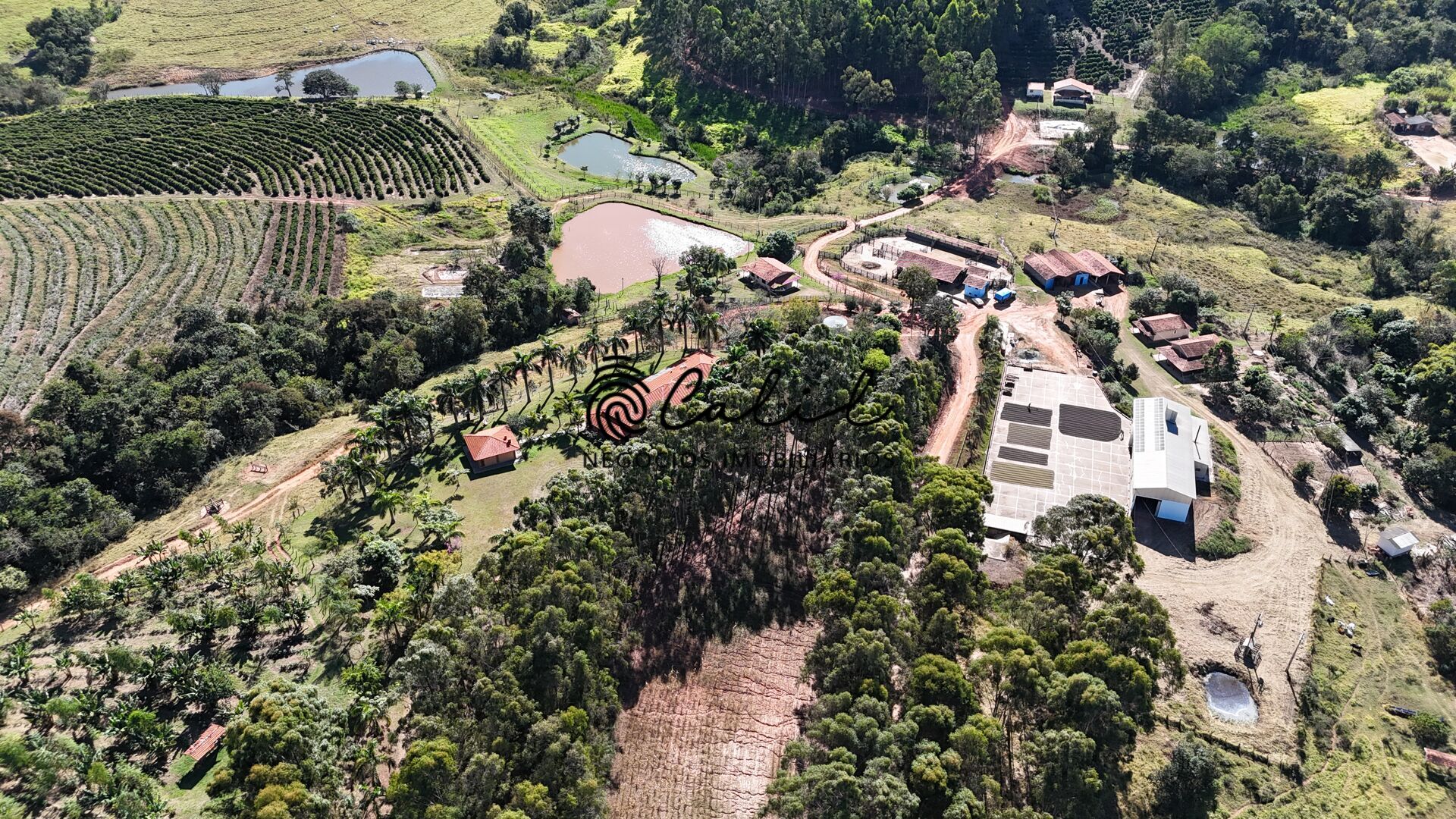 Fazenda, 188 hectares - Foto 10