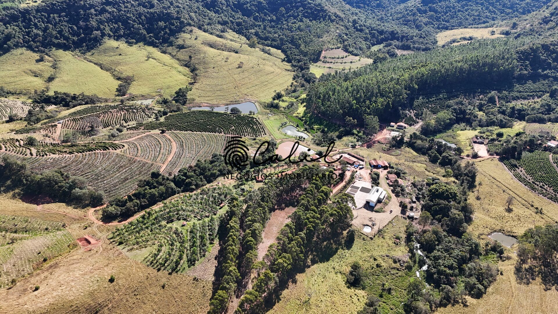 Fazenda, 188 hectares - Foto 1