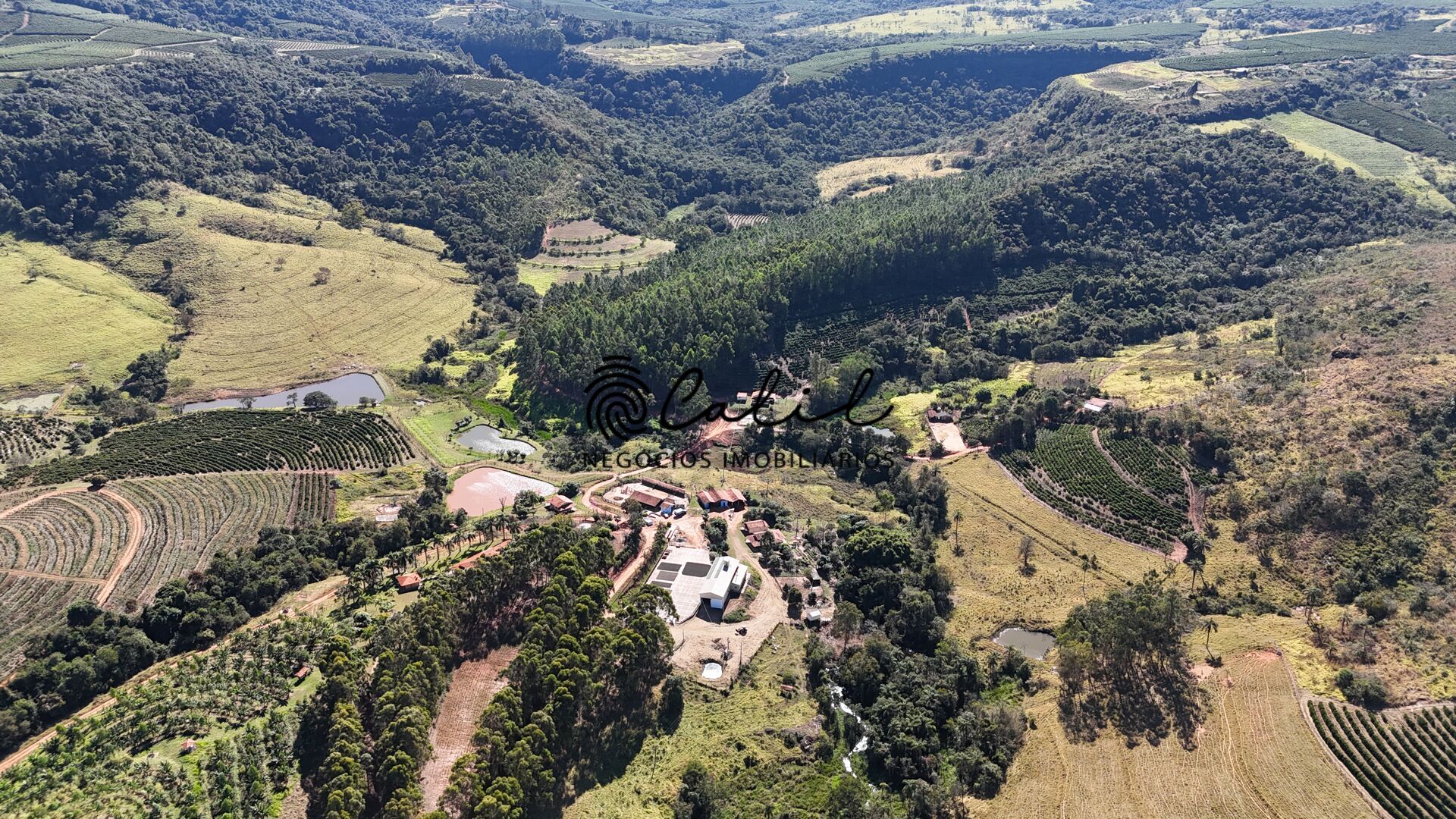 Fazenda à venda com 4 quartos, 1880000m² - Foto 2