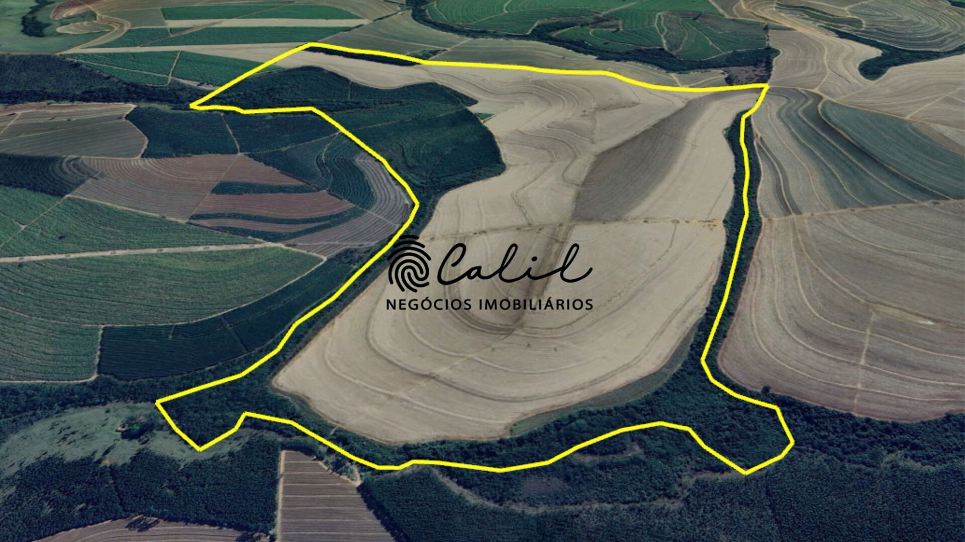 Fazenda à venda com 1 quarto, 1678400m² - Foto 6