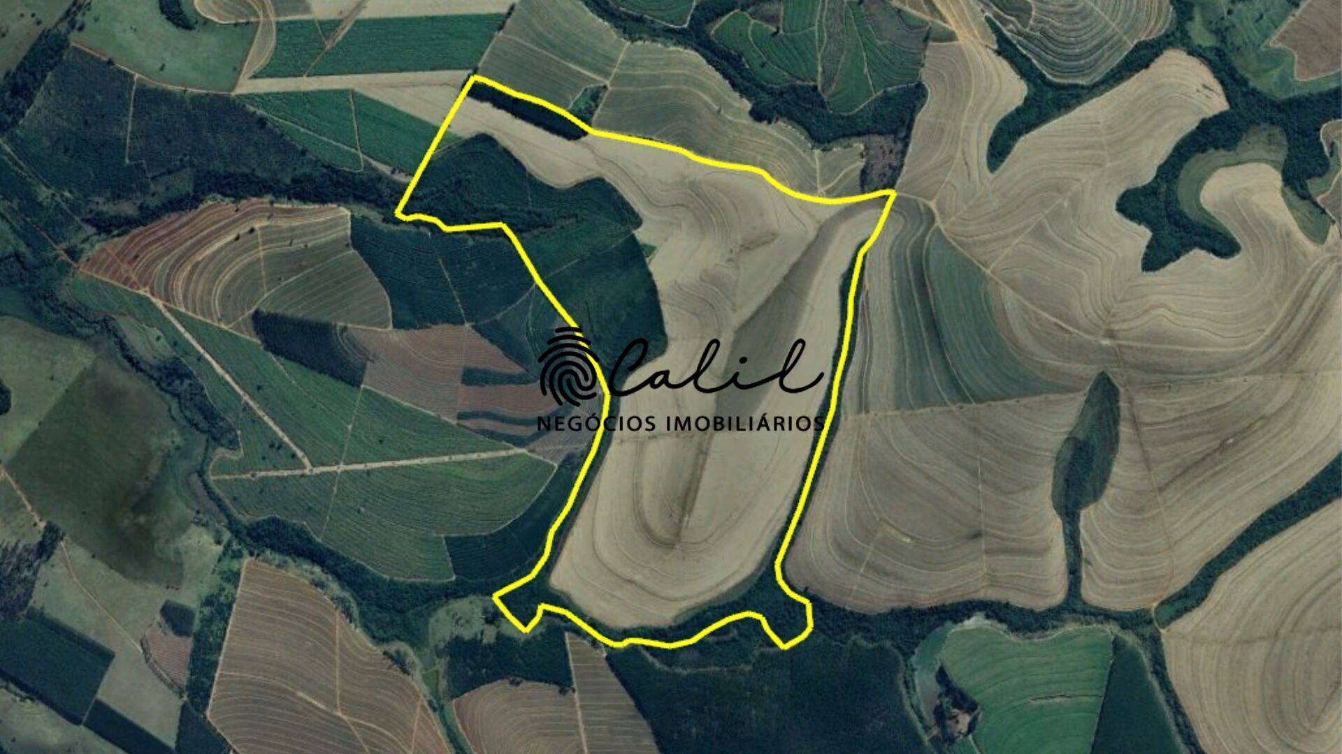 Fazenda à venda com 1 quarto, 1678400m² - Foto 5