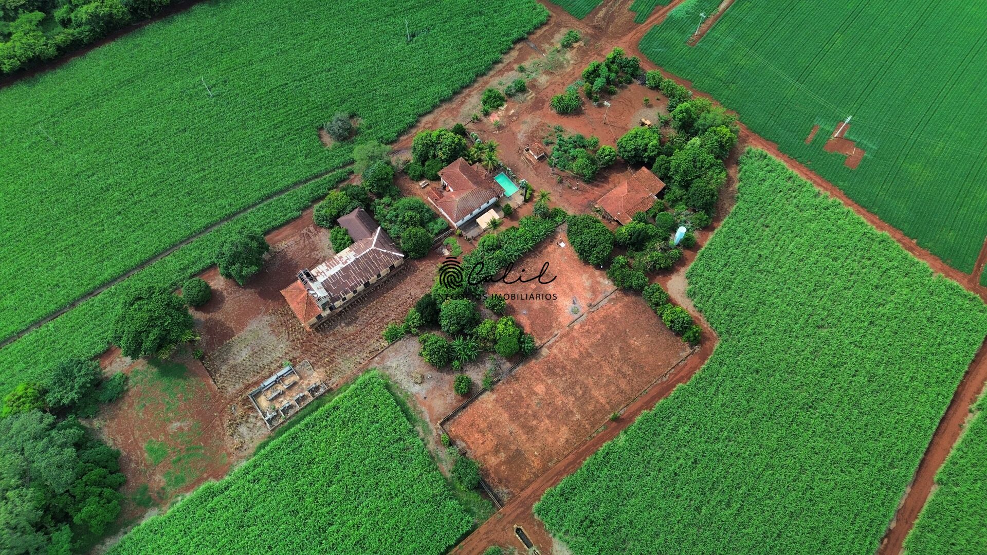 Fazenda à venda com 1 quarto, 1306800m² - Foto 11