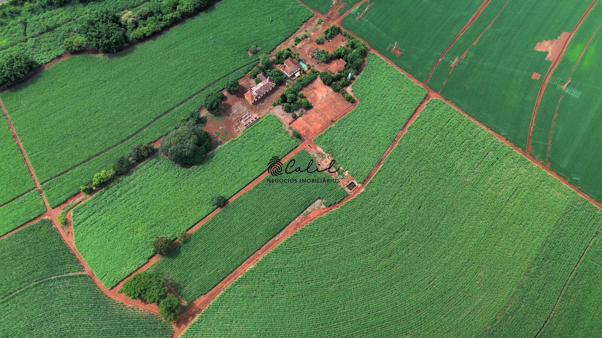 Fazenda à venda com 1 quarto, 1306800m² - Foto 12