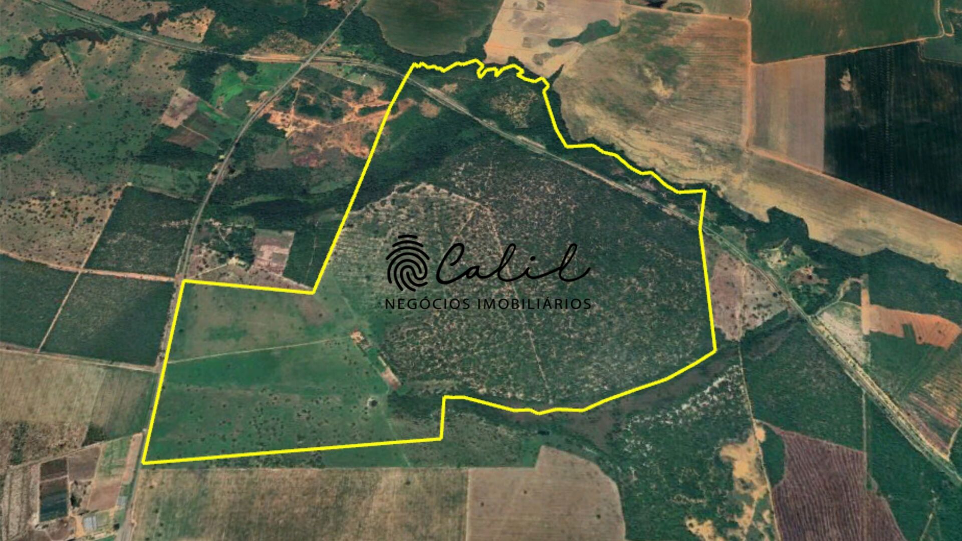 Fazenda à venda com 1 quarto, 3115800m² - Foto 26