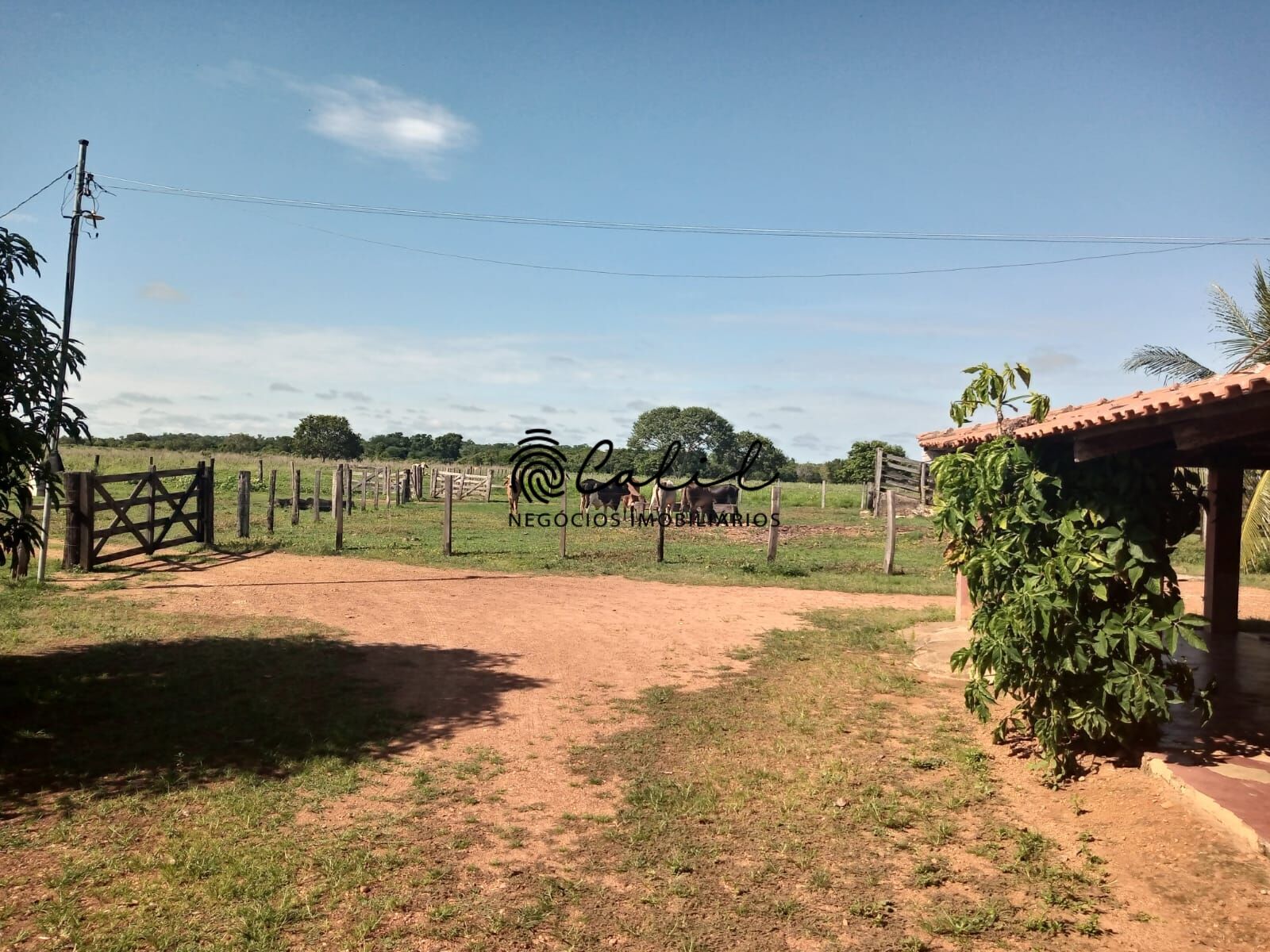 Fazenda à venda com 1 quarto, 3115800m² - Foto 22