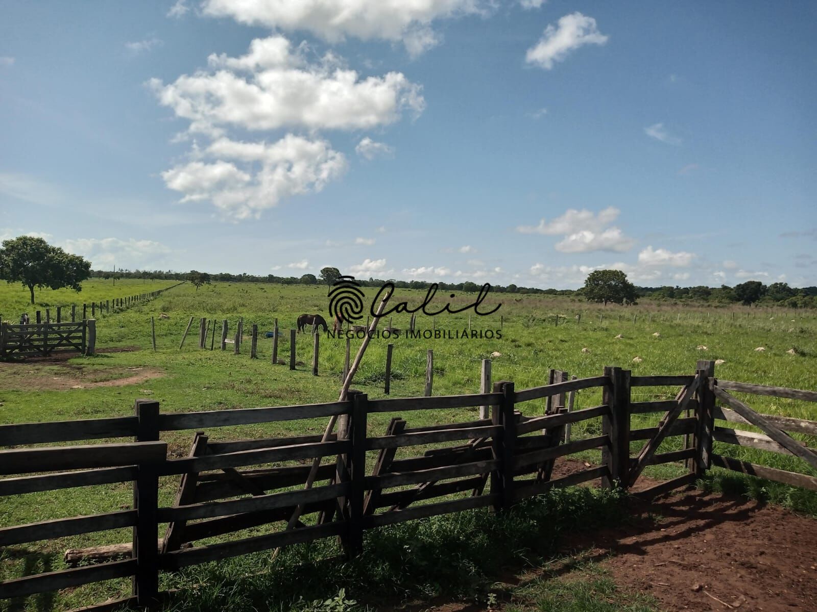 Fazenda à venda com 1 quarto, 3115800m² - Foto 3