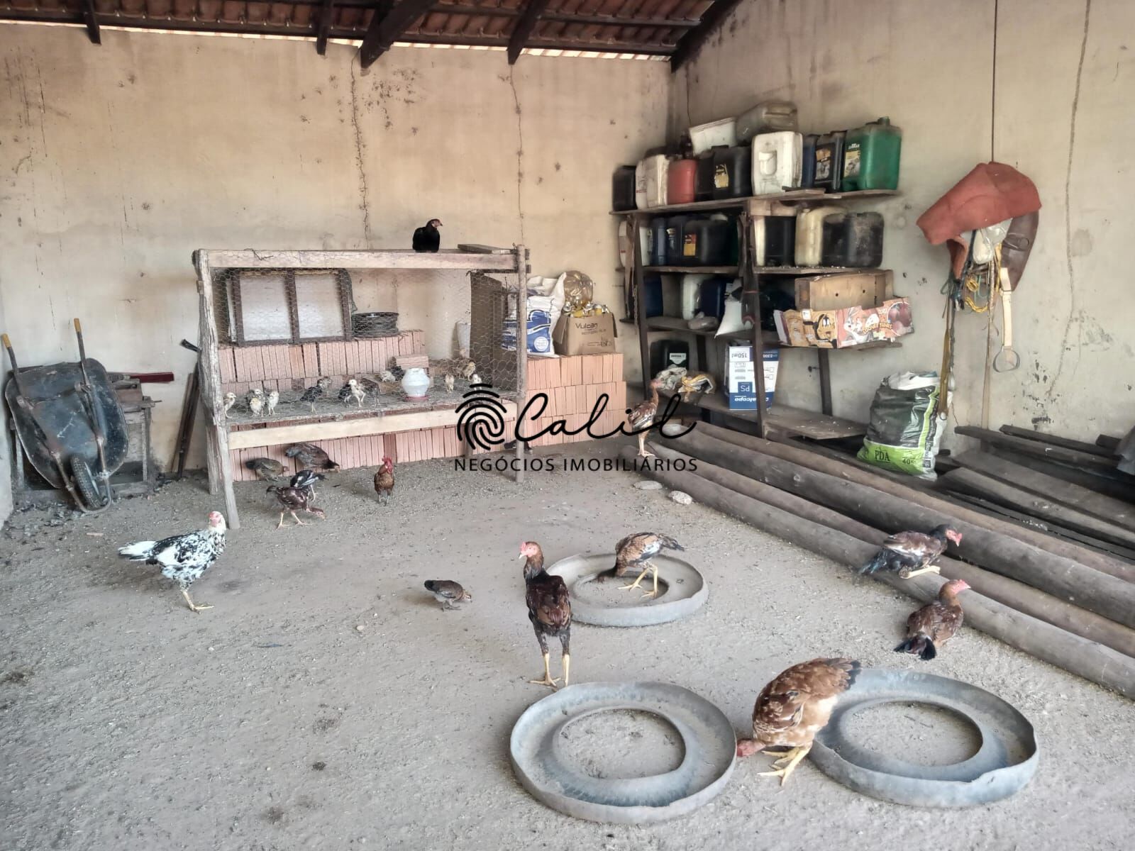 Fazenda à venda com 1 quarto, 3115800m² - Foto 4