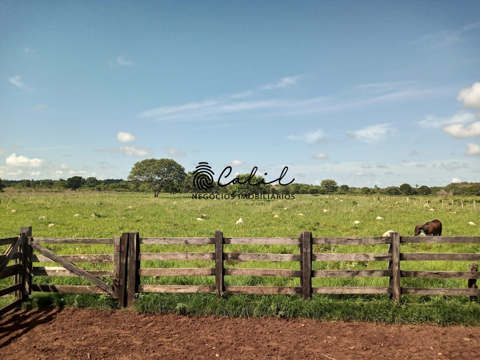 Fazenda à venda com 1 quarto, 3115800m² - Foto 1