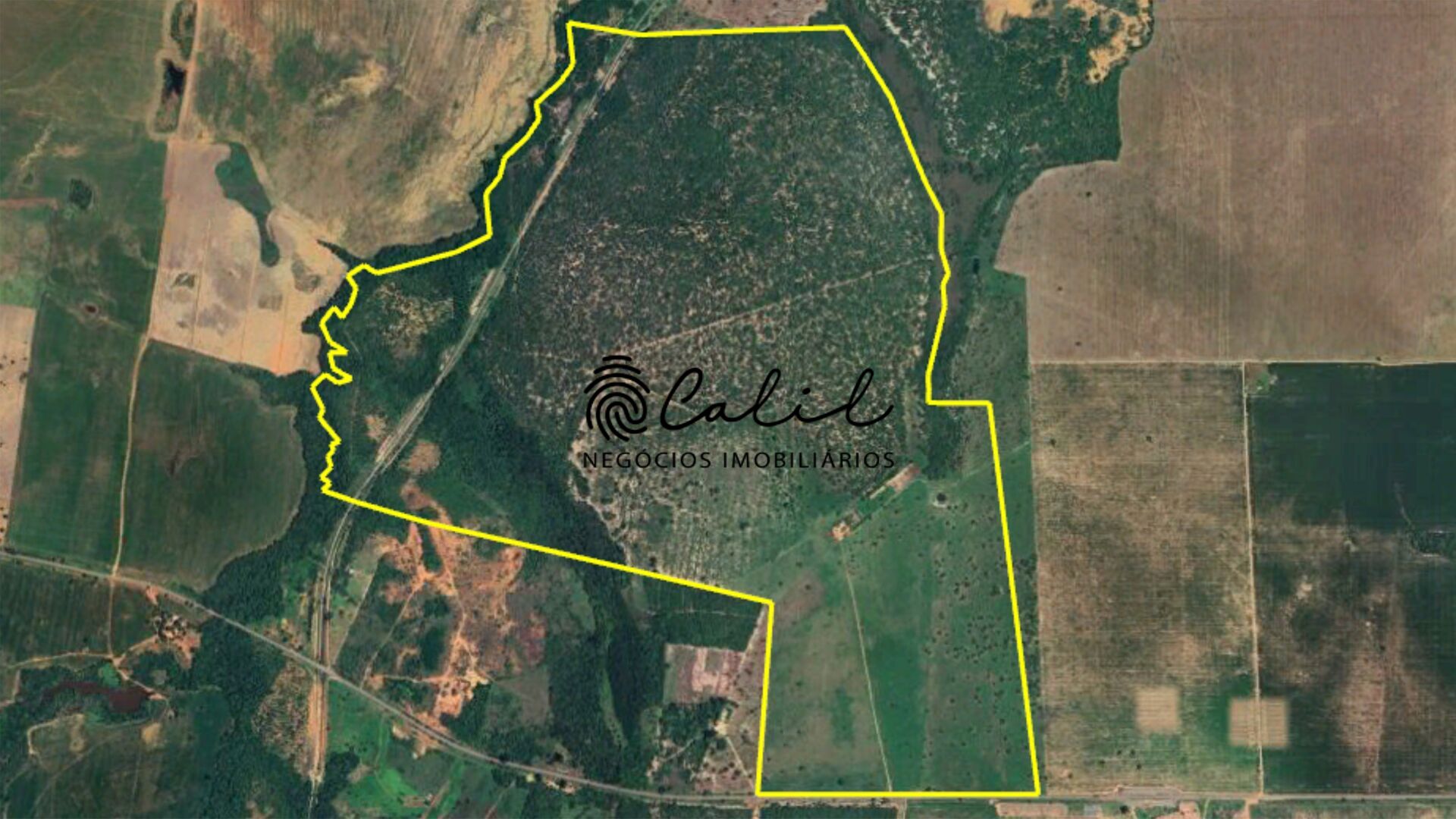 Fazenda à venda com 1 quarto, 3115800m² - Foto 27