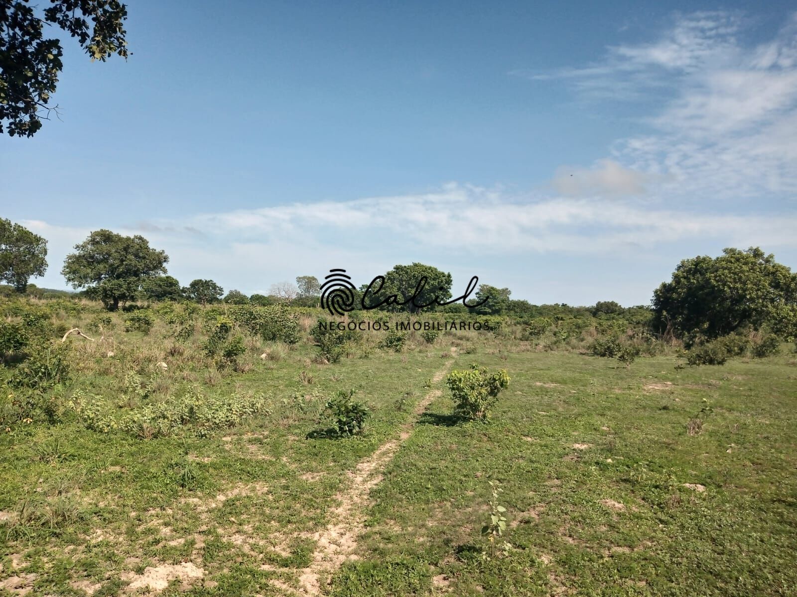 Fazenda à venda com 1 quarto, 3115800m² - Foto 12