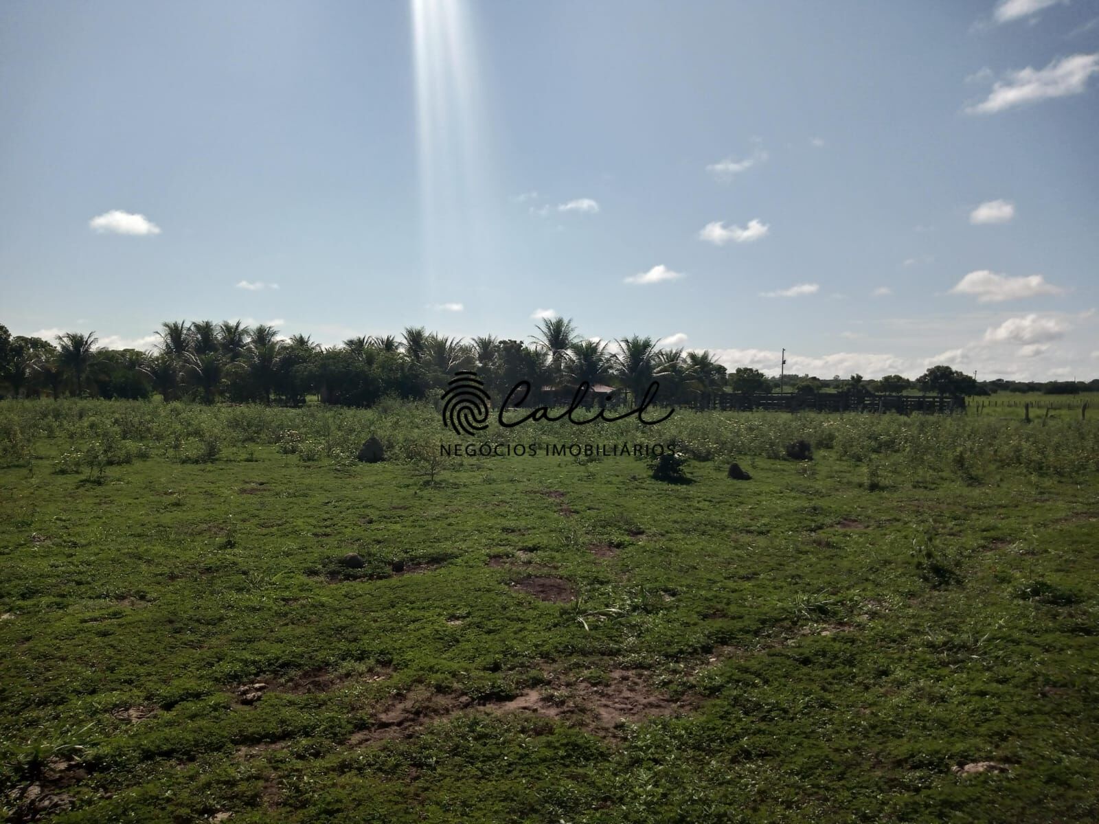 Fazenda à venda com 1 quarto, 3115800m² - Foto 8