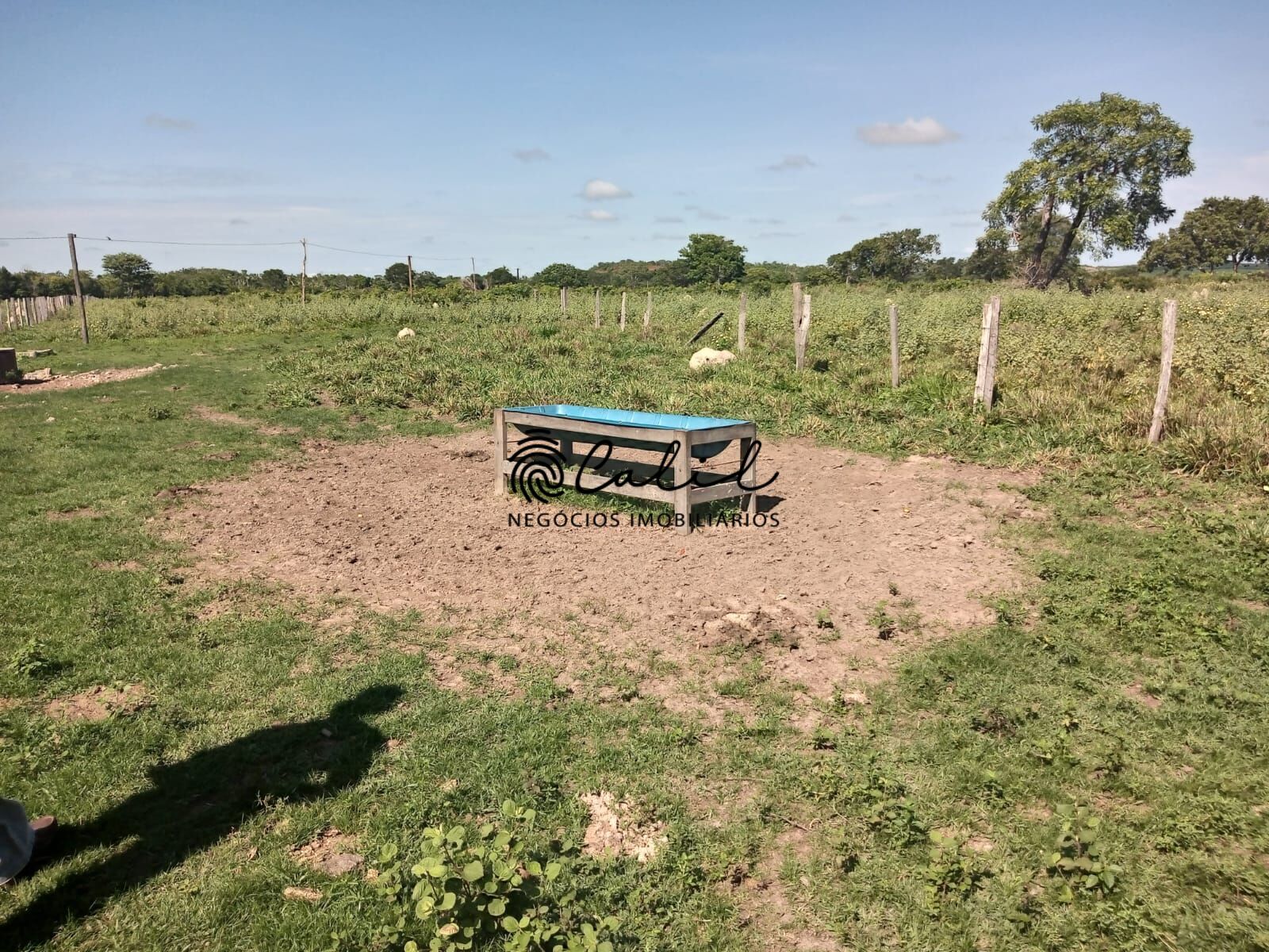 Fazenda à venda com 1 quarto, 3115800m² - Foto 11