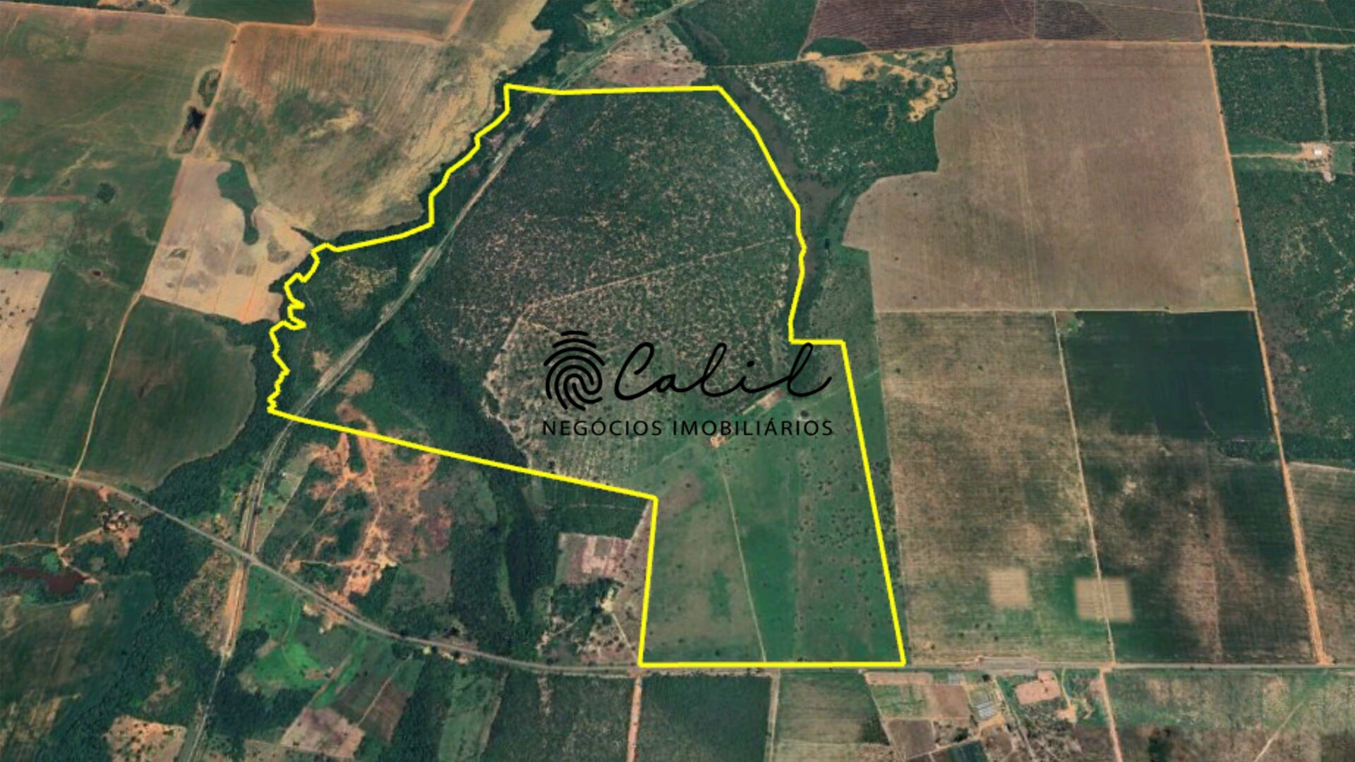 Fazenda à venda com 1 quarto, 3115800m² - Foto 23