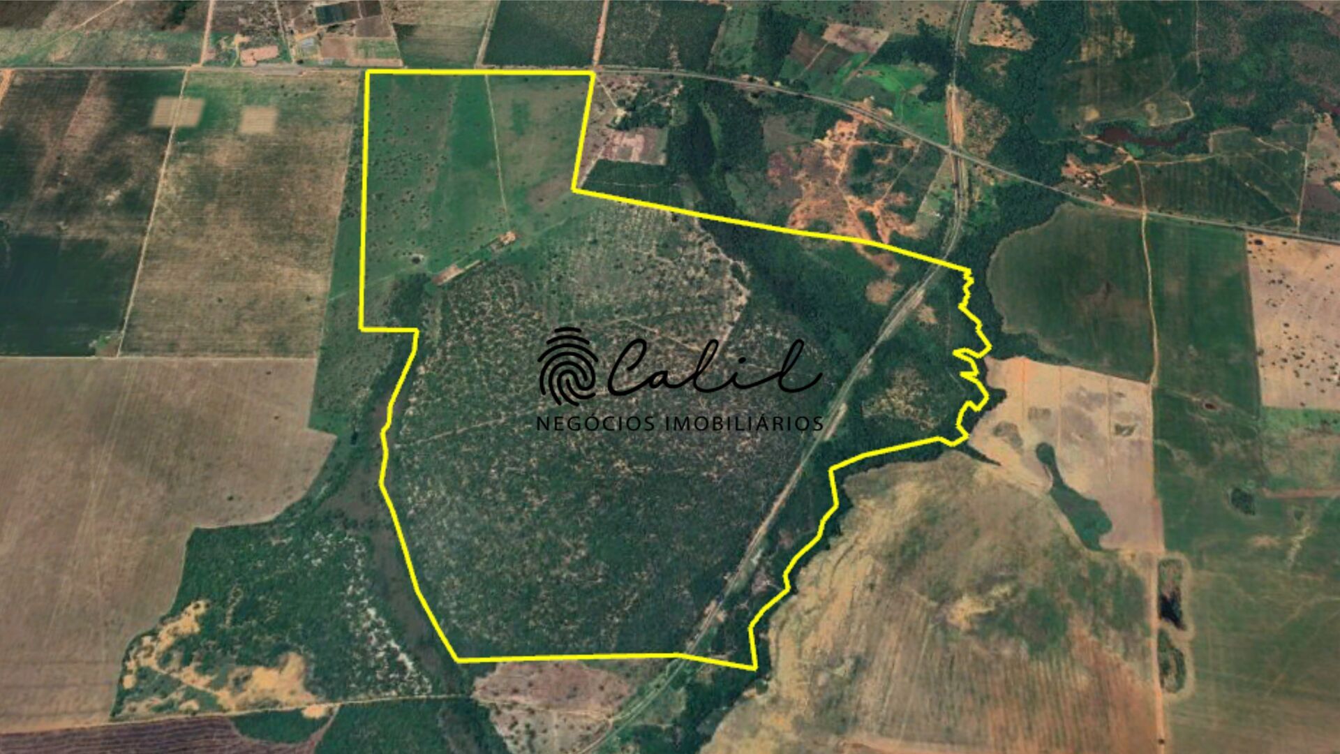 Fazenda à venda com 1 quarto, 3115800m² - Foto 25