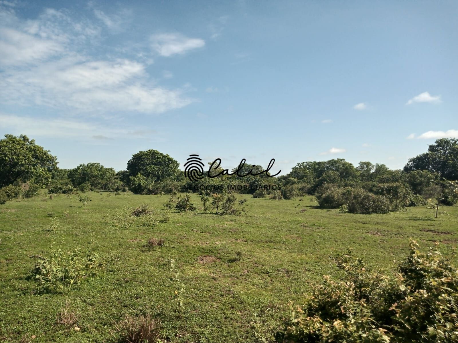 Fazenda à venda com 1 quarto, 3115800m² - Foto 14